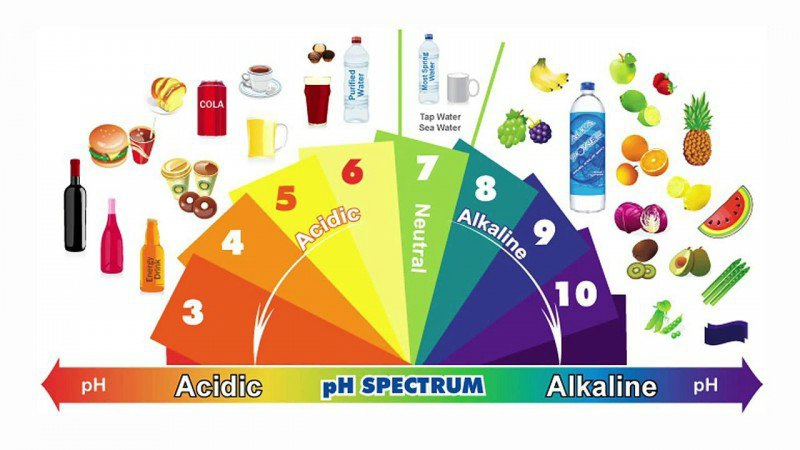 alimentation acidobasique