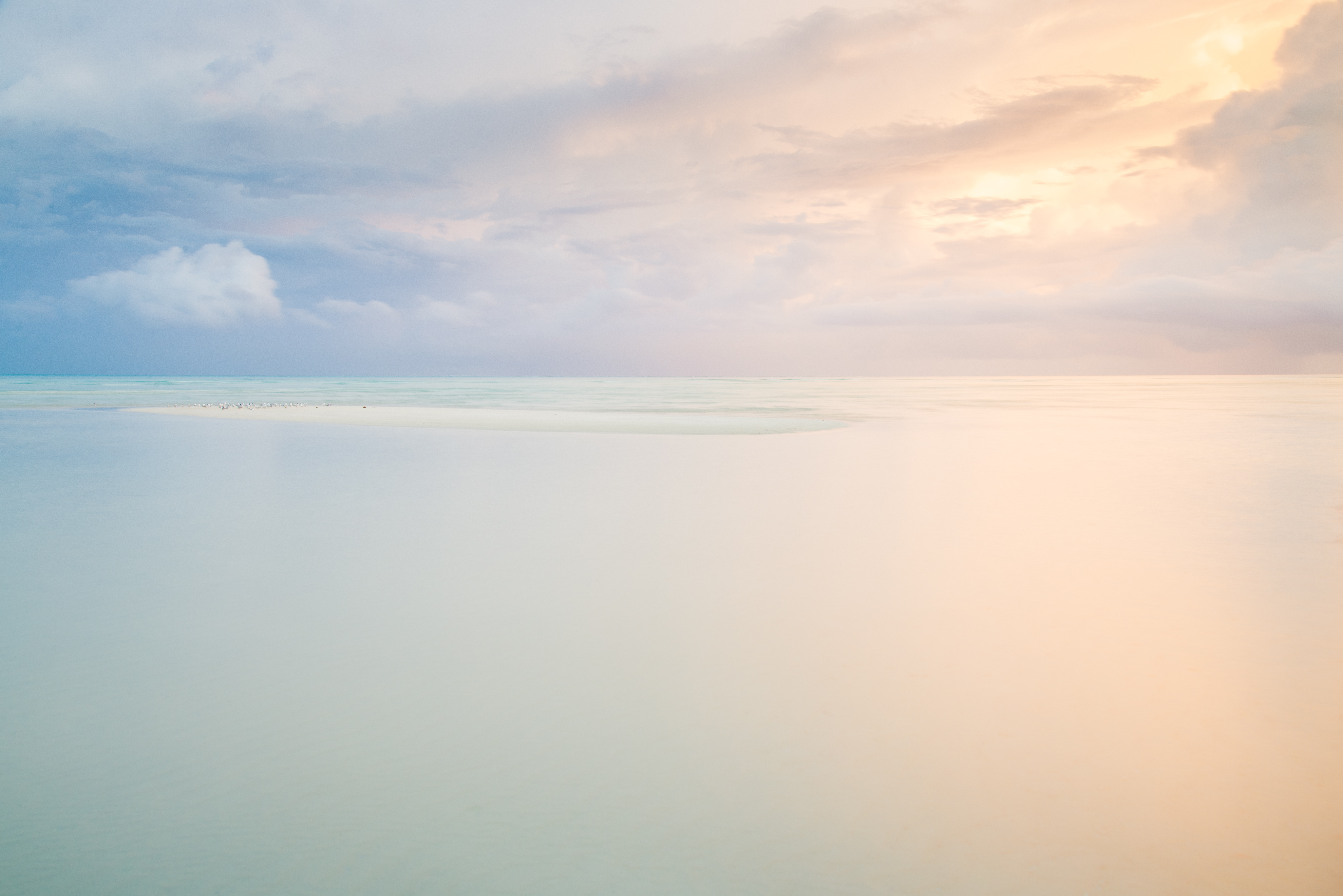 ervin laszlo conscience quantique akasha