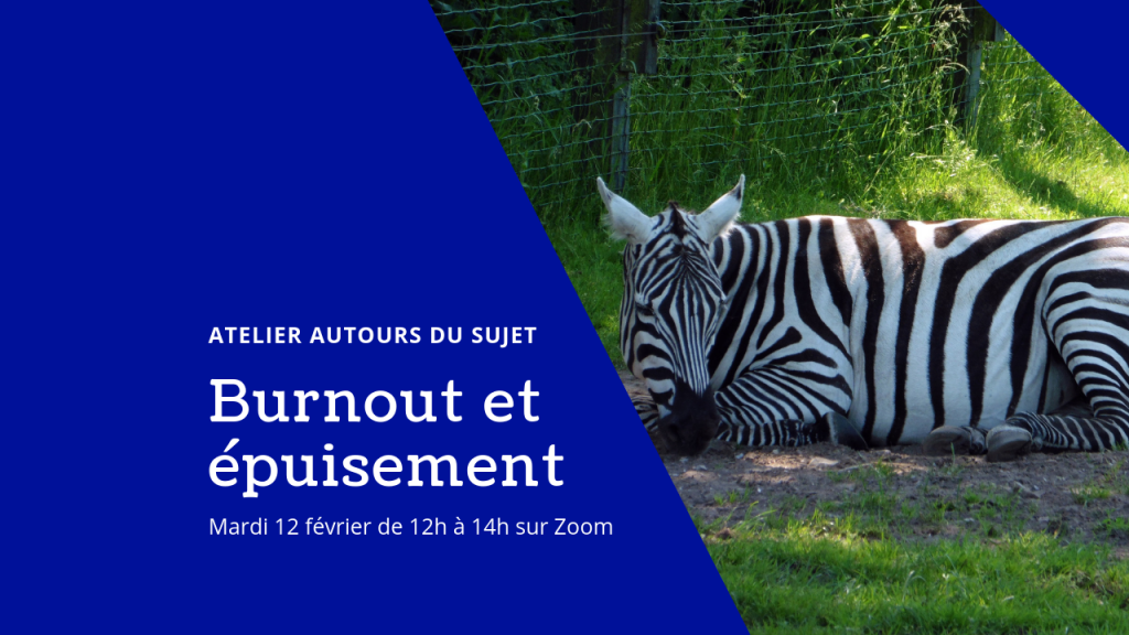 burnout chez les zèbres