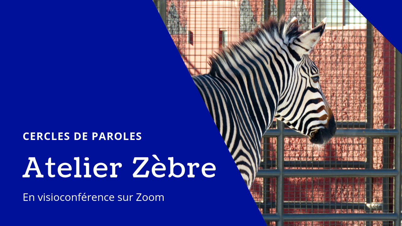 site de rencontre pour zebre